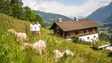 Schafe und Matthias und Theresa Kollnig vor dem Hof