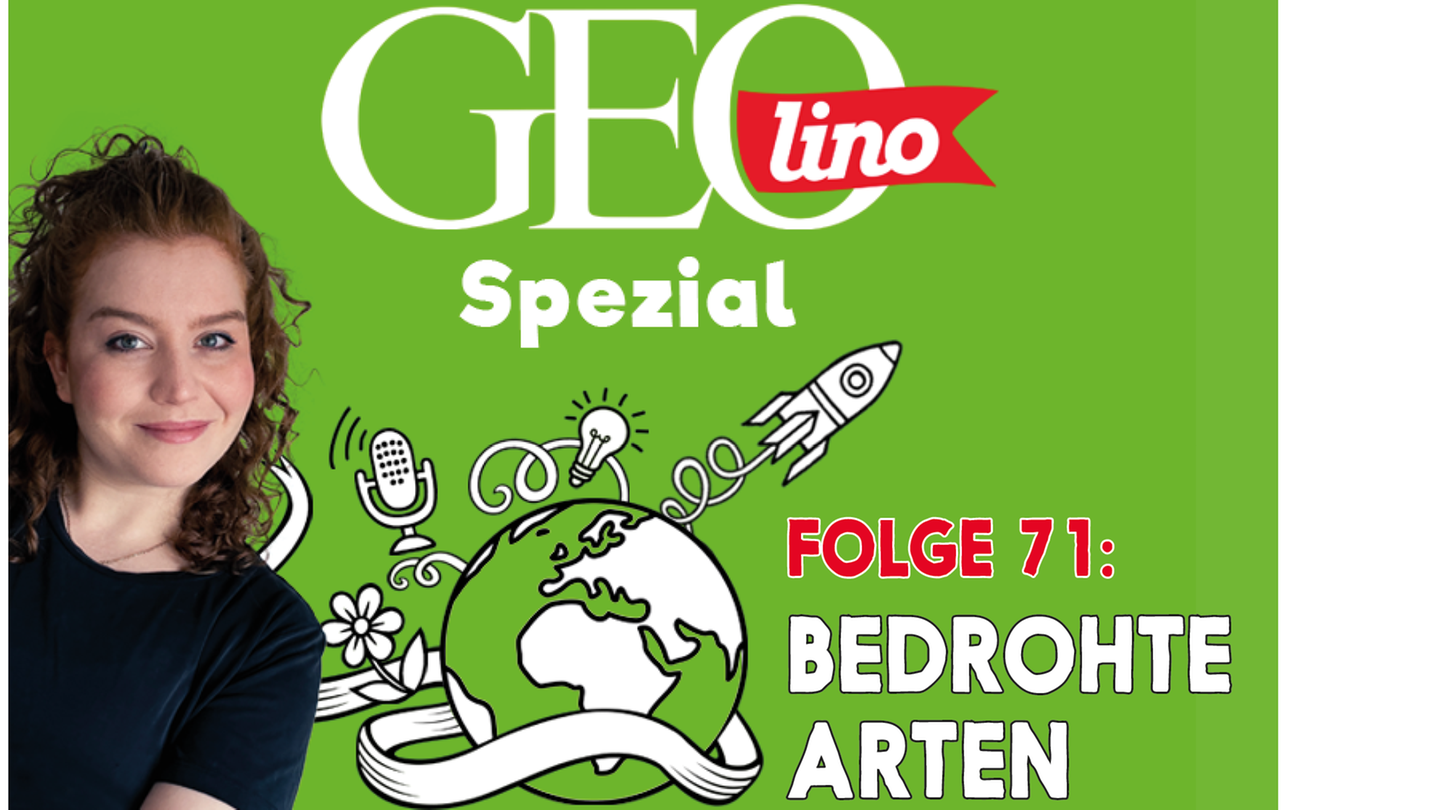 In Folge 71 unseres GEOlino-Podcasts geht's um Bedrohte Arten