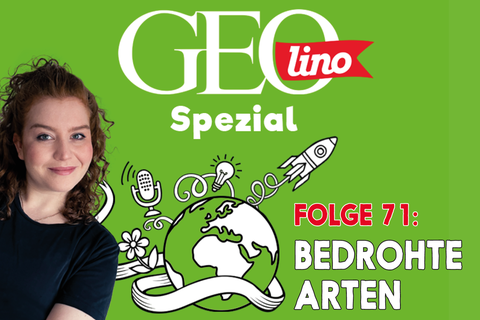 In Folge 71 unseres GEOlino-Podcasts geht's um Bedrohte Arten
