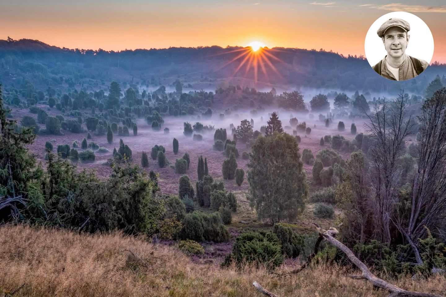 Wenn ich am Wochenende die A7 in Höhe Bispingen Richtung Oberhaverbeck abfahre, ist da immer ein Kribbeln, weil mir alles so vertraut ist und sich richtig anfühlt. Hier stimmt das Licht, die Entfernung zum Horizont. Hier umgibt mich, gerade zur Zeit der Heideblüte Mitte August, ein überwältigender Duft. Honig, Wacholder. Das krautige Aroma der Kiefern. Aber auch im Herbst, wenn die Felder umgepflügt werden, entströmt der Erde ein intensiver Geruch, wie ich ihn nur von hier kenne. Oft nehme ich dann eine Handvoll Ackerboden und rieche daran. Ein unbeschreiblicher Glücksmoment.  Mein Tipp Übernachten in einer alten, für die Gegend typischen Hofanlage: stimbekhof.de. Regionale Spitzenküche: Hotel Rieckmann  Andreas Pufal, Visual Director