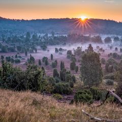 Wenn ich am Wochenende die A7 in Höhe Bispingen Richtung Oberhaverbeck abfahre, ist da immer ein Kribbeln, weil mir alles so vertraut ist und sich richtig anfühlt. Hier stimmt das Licht, die Entfernung zum Horizont. Hier umgibt mich, gerade zur Zeit der Heideblüte Mitte August, ein überwältigender Duft. Honig, Wacholder. Das krautige Aroma der Kiefern. Aber auch im Herbst, wenn die Felder umgepflügt werden, entströmt der Erde ein intensiver Geruch, wie ich ihn nur von hier kenne. Oft nehme ich dann eine Handvoll Ackerboden und rieche daran. Ein unbeschreiblicher Glücksmoment.  Mein Tipp Übernachten in einer alten, für die Gegend typischen Hofanlage: stimbekhof.de. Regionale Spitzenküche: Hotel Rieckmann  Andreas Pufal, Visual Director
