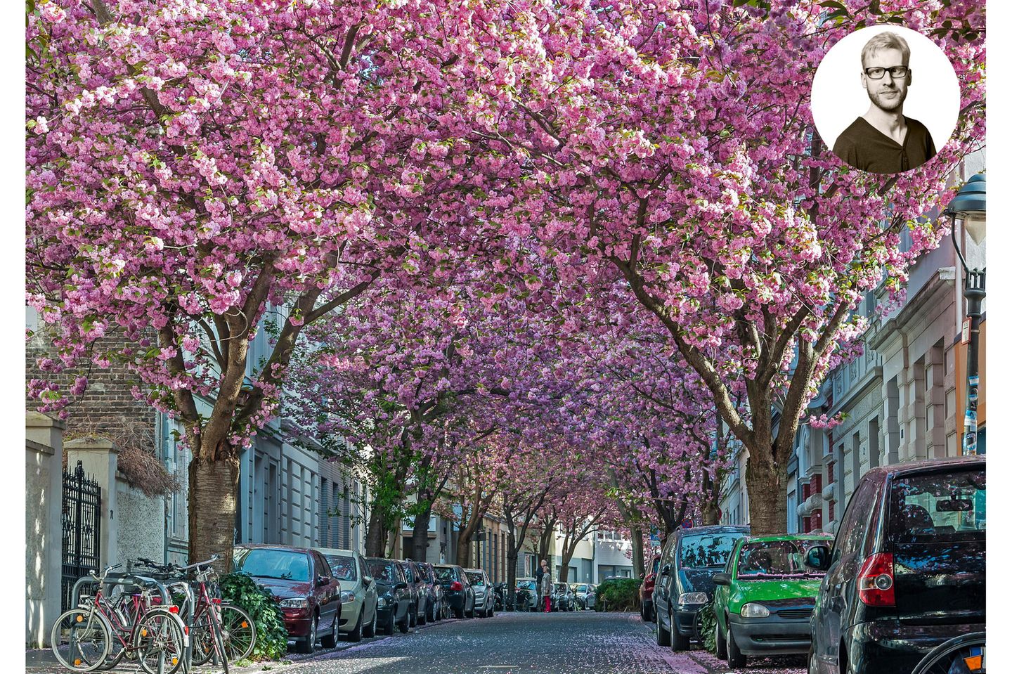 Wenn ich als Kind zu den Kuppen des Siebengebirges hinüberschaute, war für mich klar: Dort drüben, auf der anderen Seite des Rheins, haben früher mal Helden gegen Drachen gekämpft. Woher sonst sollten der Drachenfels, einer der sieben Berge, und die Ruine der Drachenburg ihren Namen haben? Warum sonst sollte meine Heimat, die Rheinhänge südlich von Bonn mit ihren dreizehn Dörfern zwischen Äckern und Wäldern, »Drachenfelser Ländchen« heißen? Wenn ich heute an diesen Ort denke, habe ich den Klang des Bönnschen Dialekts im Ohr und die kluge Lebensweisheit der Menschen dort im Sinn (»Et hätt noch immer jot jejange!«). Und auf der Zunge den Geschmack von Gummibärchen – Haribo gehört zu Bonn wie das Bier zu Bayern.  Mein Tipp: Die Kirschblüte jedes Frühjahr in der Bonner Altstadt. Außerdem: die »Feuerroute« als Ideallinie durchs Drachenfelser Ländchen  Bertram Weiss, Textredakteur