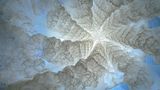 Was aussieht wie das Innere eines Blumenkohls, ist in Wirklichkeit das Abbild der langen Tentakel der sogenannten Lungenqualle (Rhizostoma pulmo). Sie zählt mit einem Durchmesser von bis zu über 90 Zentimetern zu den größten Quallen der Welt und ist vom Nord- und Südatlantik bis zum Mittelmeer und zum Schwarzen Meer verbreitet. Ein solcher Anblick ist normalerweise jenen unglücklichen Meeresbewohnern vorbehalten, die in den Bann der Qualle geraten. Dank der Hintergrundbeleuchtung konnte der Fotograf Angel Fitor die Arme des eindrucksvollen Tieres samt seiner Sinnesorgane ablichten und wurde damit einer der Finalist in der Kategorie „Art of Nature“.