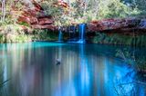 Fern Pool im Karijini-Nationalpark