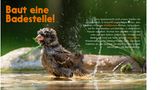 Spatz