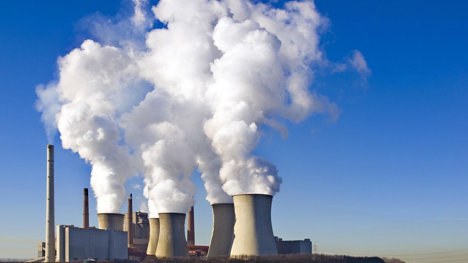Klimawandel: So lebt ihr klimafreundlich