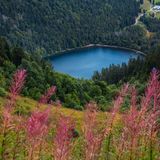 Blick auf den Schwarzwald vom Feldberg aus