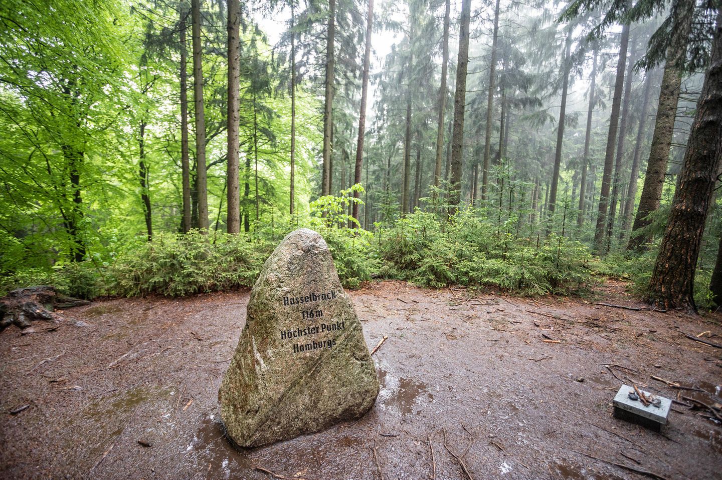 Hamburg – Hasselbrack