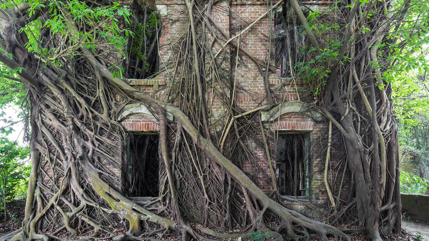 Herrenhaus, Taiwan