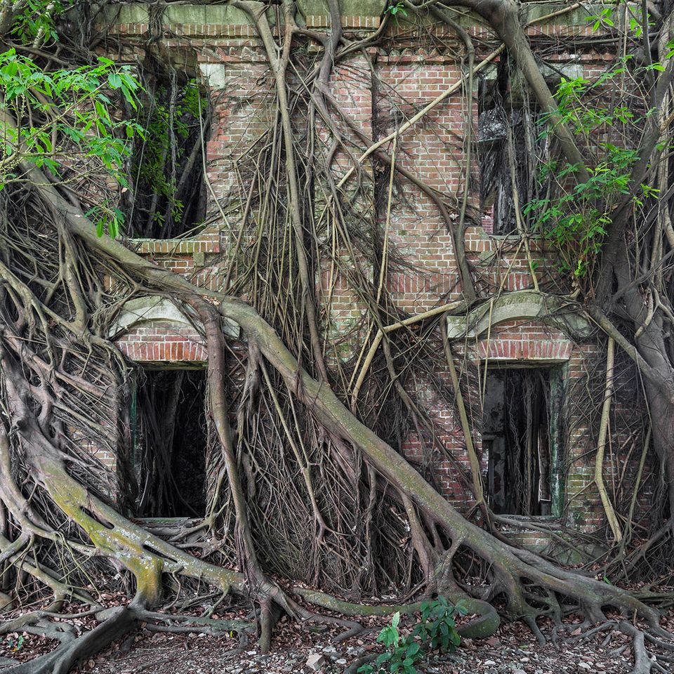 Herrenhaus, Taiwan