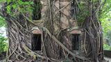 Herrenhaus, Taiwan