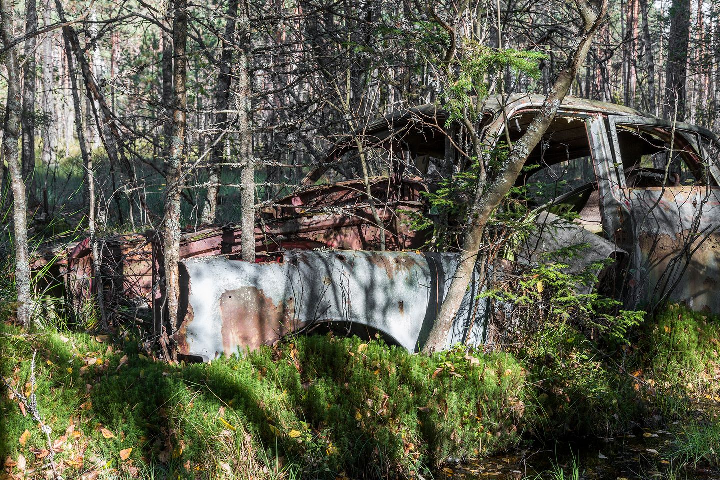 Autofriedhof, Schweden