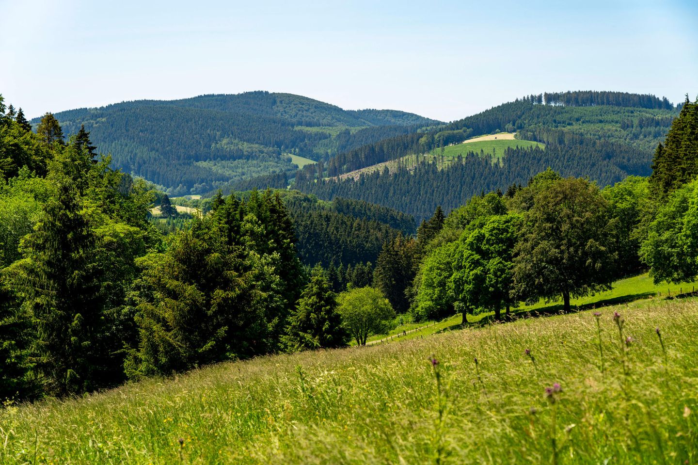 Blick auf die Landschaft vom Langenberg bei Niedersfeld