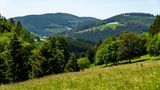 Blick auf die Landschaft vom Langenberg bei Niedersfeld