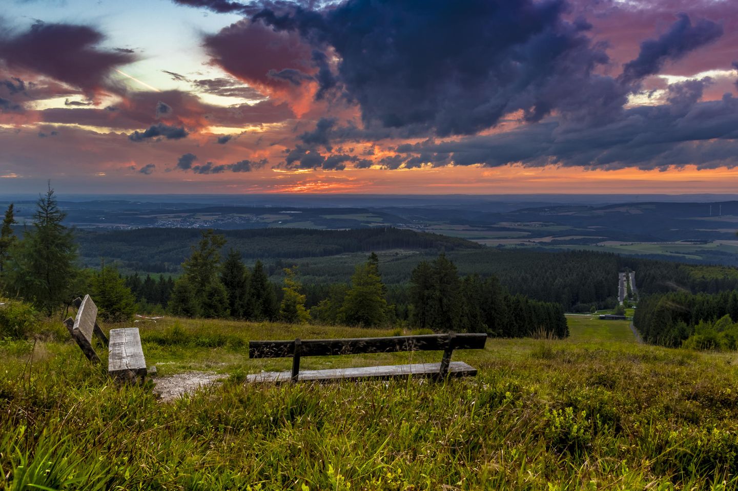Rheinland-Pfalz – Erbeskopf Blick vom Erbenskopf – zwei Bänken stehen in der grünen Landschaft