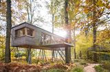 Baumhaus im Wald in Deutschland