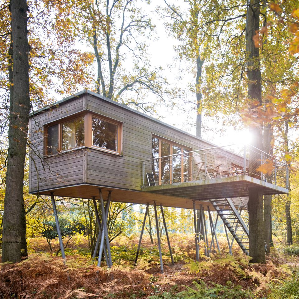 Baumhaus im Wald in Deutschland