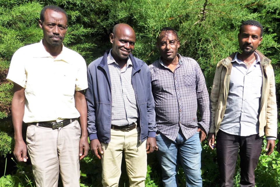Äthiopien: Abebe Magnecho, Leiter der Farmers Union (li.), neben ihm Tamiru Haile (Leiter des PFM-Teams), und die PFM-Experten Negash und Asres Ademe Abebe Magnecho, Leiter der Farmers Union (li.), neben ihm Tamiru Haile (Leiter des PFM-Teams), und die PFM-Experten Negash und Asres Ademe