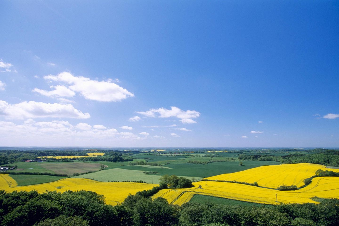 Schleswig-Holstein – Bungsberg Schleswig-Holstein – Bungsberg