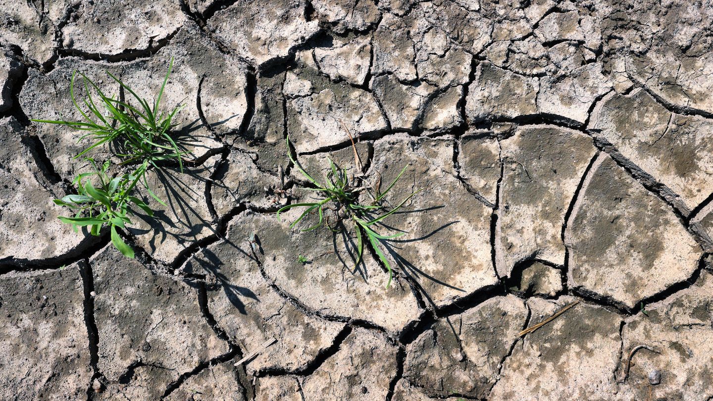 Klimawandel: Wer bekommt Wasser, wenn es in Deutschland knapp wird?