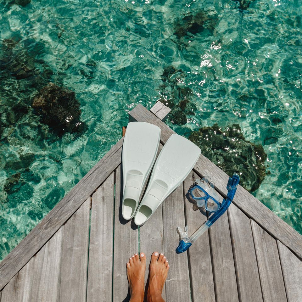 PhotoSunnyDays / Shutterstock PhotoSunnyDays / Shutterstock