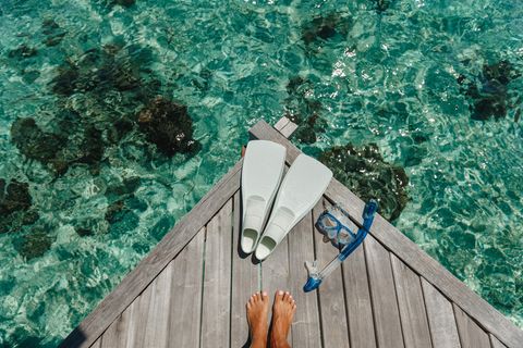 PhotoSunnyDays / Shutterstock