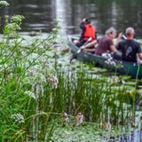 Auf einer geführten Kanutour erkunden Urlauber den Nationalpark