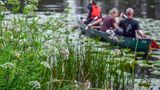 Auf einer geführten Kanutour erkunden Urlauber den Nationalpark
