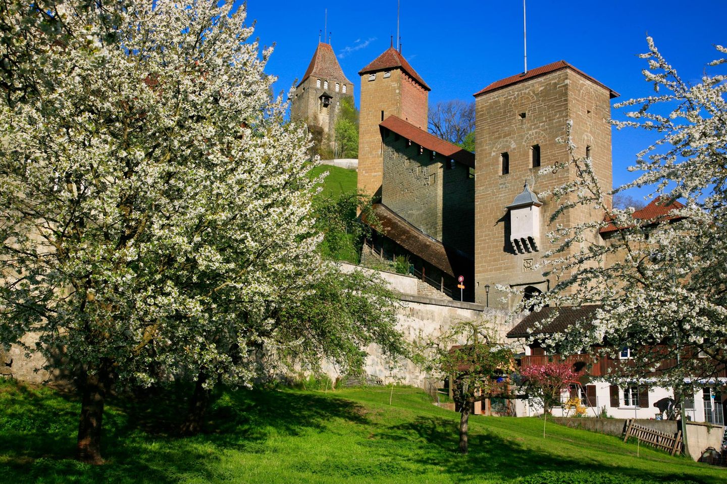 Blick auf die Stadtmauer mit Rotem Turm, Katzenturm und Berntor