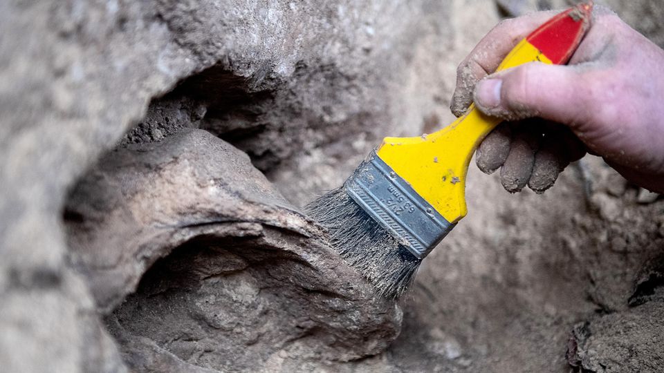 Hand mit Pinsel legt Oberfläche einer Höhle frei Hand mit Pinsel legt Oberfläche einer Höhle frei