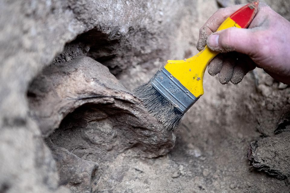 Hand mit Pinsel legt Oberfläche einer Höhle frei