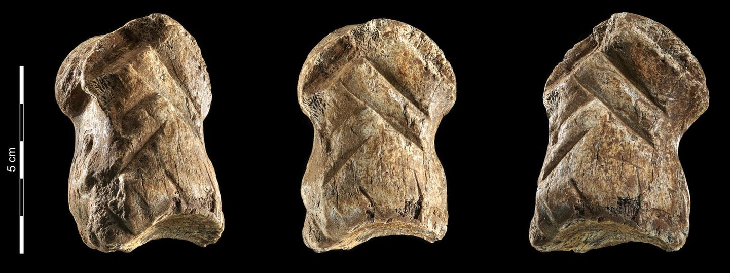 Der verzierte Riesenhirsch-Knochen in der Einhornhöhle gilt unter Archäologen als Sensation, weil er zeigt, dass die Neandertaler vor mehr als 50.000 Jahren schon erstaunliche kognitive Fähigkeiten hatten