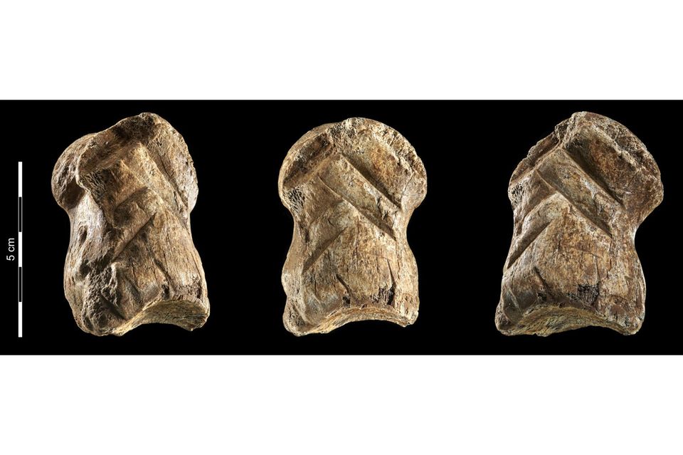 Der verzierte Riesenhirsch-Knochen in der Einhornhöhle gilt unter Archäologen als Sensation, weil er zeigt, dass die Neandertaler vor mehr als 50.000 Jahren schon erstaunliche kognitive Fähigkeiten hatten