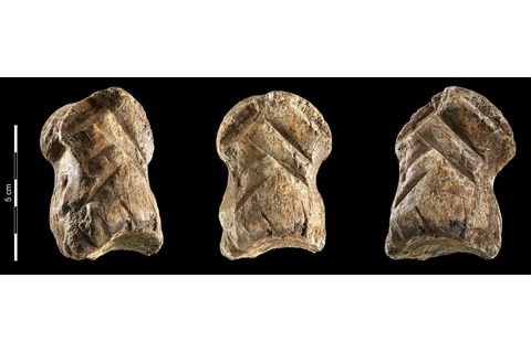 Der verzierte Riesenhirsch-Knochen in der Einhornhöhle gilt unter Archäologen als Sensation, weil er zeigt, dass die Neandertaler vor mehr als 50.000 Jahren schon erstaunliche kognitive Fähigkeiten hatten