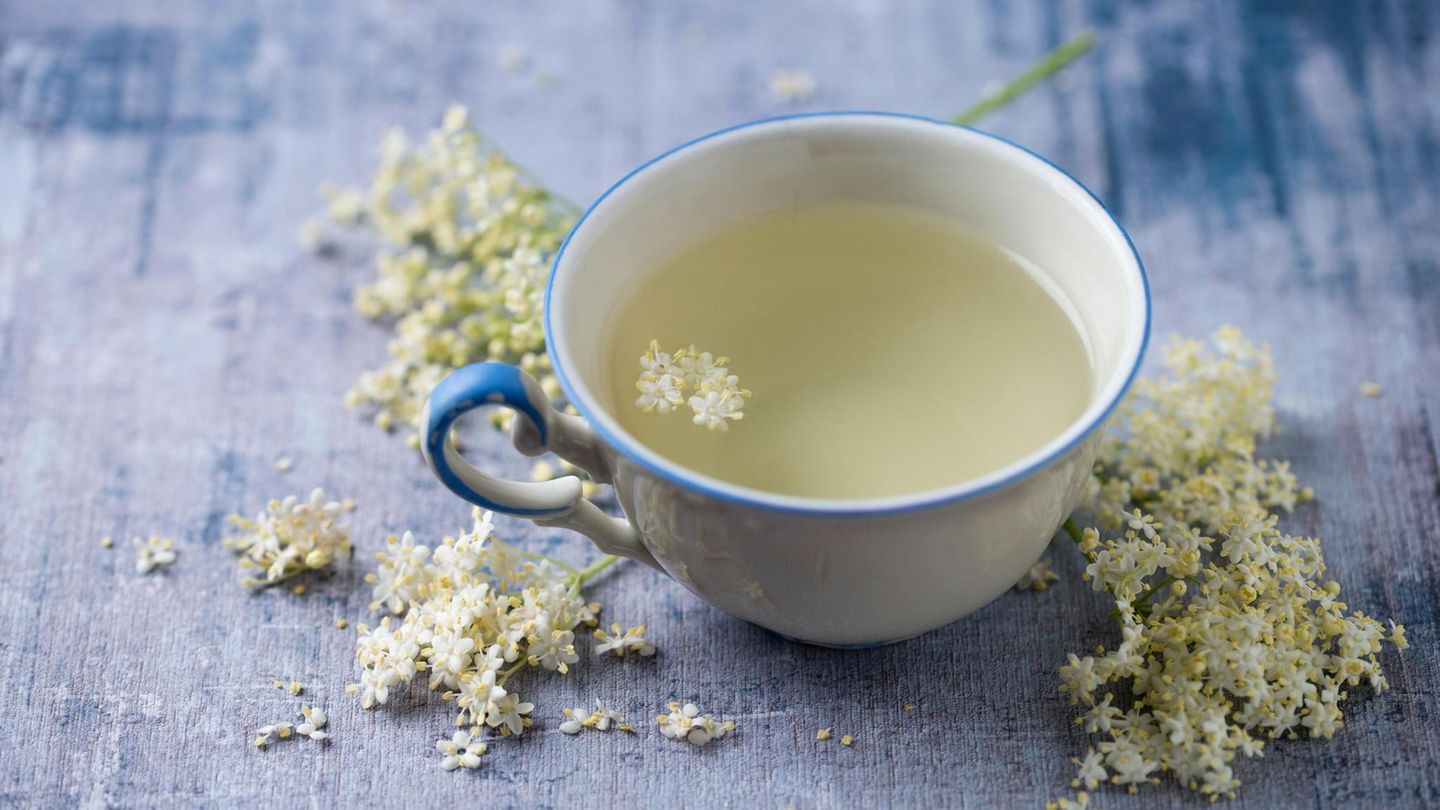 Hausmittel: Wie Tee uns hilft, gesund zu bleiben  Hausmittel: Wie Tee uns hilft, gesund zu bleiben