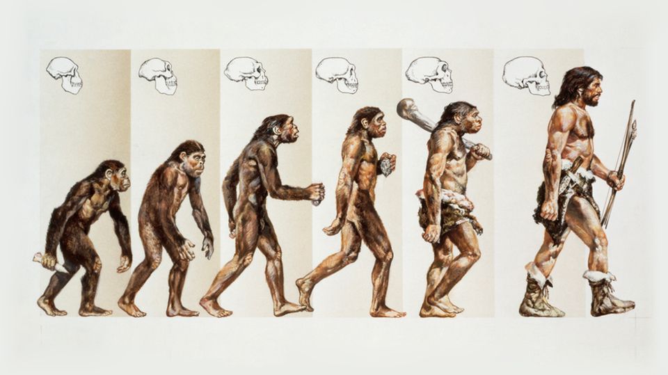 Die wahre Geschichte des Menschen: Von wem wir abstammen - [GEO]