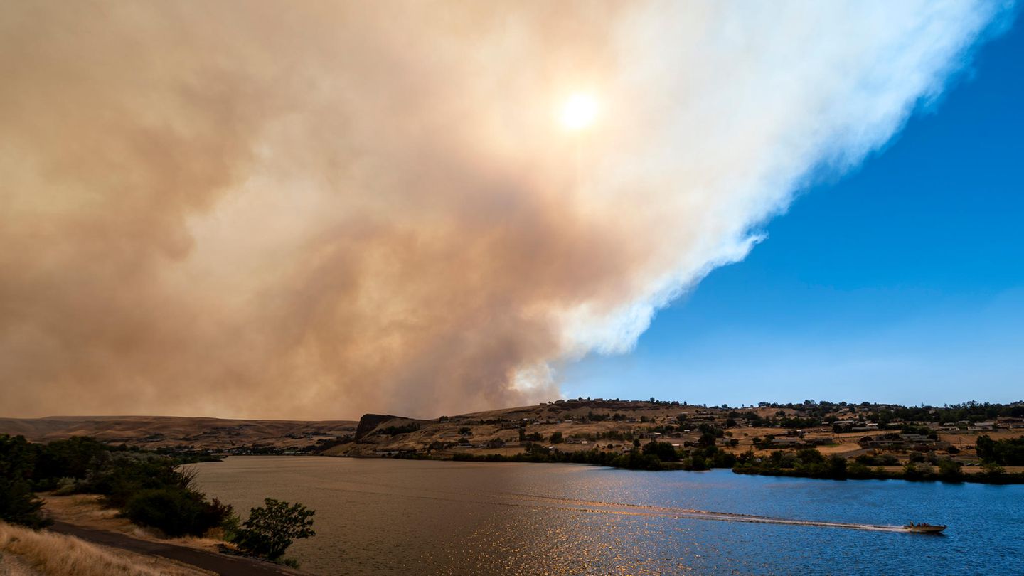 Clarkston, USA: Die Extremhitze der vergangenen Tage im Westen Nordamerikas mit Temperaturen bis knapp 50 Grad wäre einer Studie zufolge ohne den Klimawandel so gut wie unmöglich gewesen