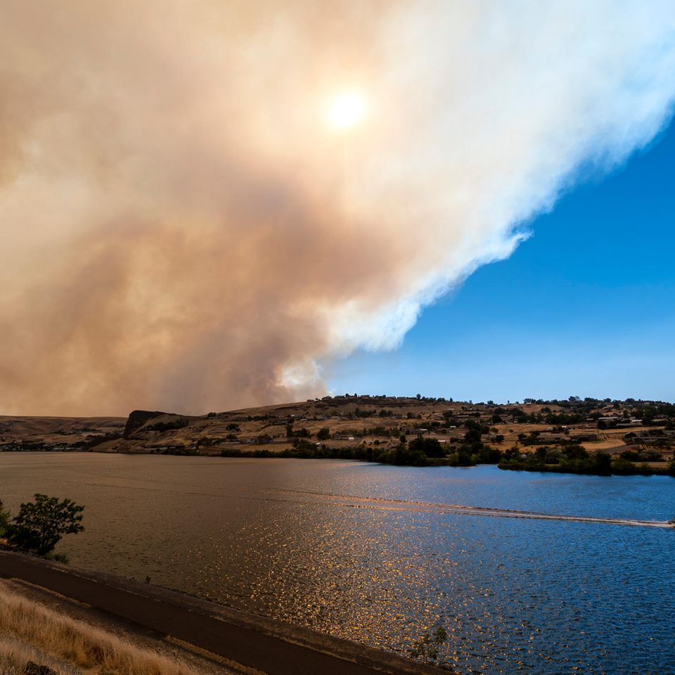 Clarkston, USA: Die Extremhitze der vergangenen Tage im Westen Nordamerikas mit Temperaturen bis knapp 50 Grad wäre einer Studie zufolge ohne den Klimawandel so gut wie unmöglich gewesen