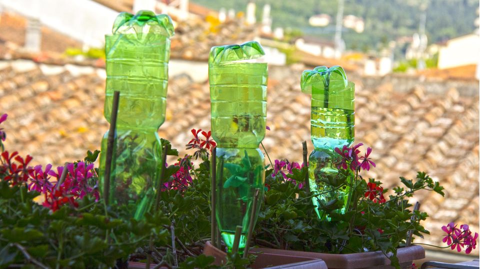 PET-Flaschen stecken in Blumenkästen zur Pflanzenbewässerung
