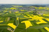Landwirtschaftliche Ackerflächen, Felder, Rapsfelder in der Nähe von Wolken bei Koblenz an