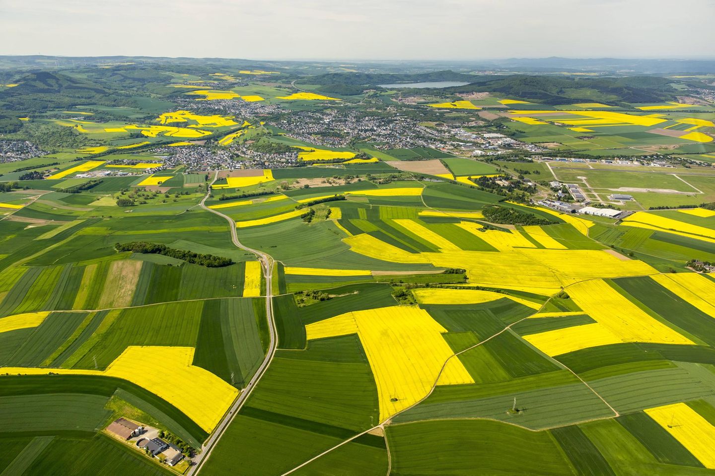 Landwirtschaftliche Ackerflächen, Felder, Rapsfelder in der Nähe von Wolken bei Koblenz an