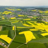 Landwirtschaftliche Ackerflächen, Felder, Rapsfelder in der Nähe von Wolken bei Koblenz an