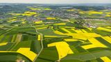 Landwirtschaftliche Ackerflächen, Felder, Rapsfelder in der Nähe von Wolken bei Koblenz an
