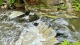 Bachlauf auf dem Wanderweg