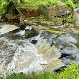 Bachlauf auf dem Wanderweg