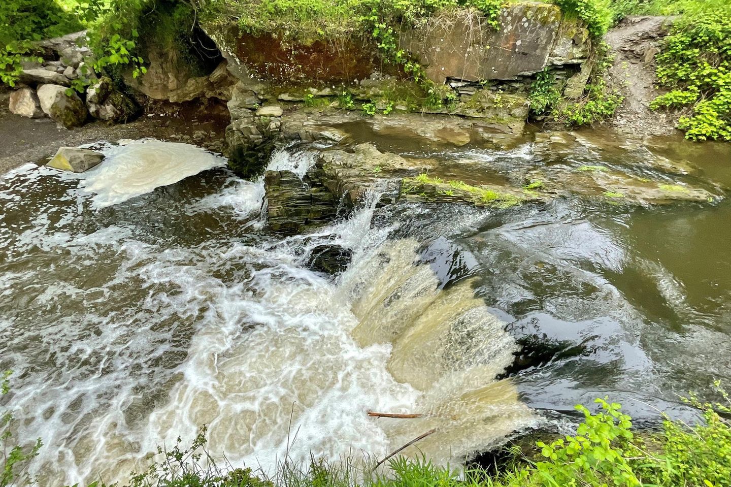 Bachlauf auf dem Wanderweg