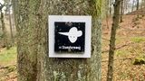 Baum mit dem Symbol des Wanderwegs Stumpfarm