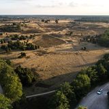 Niedersachsen: Der Pfad der Blüte