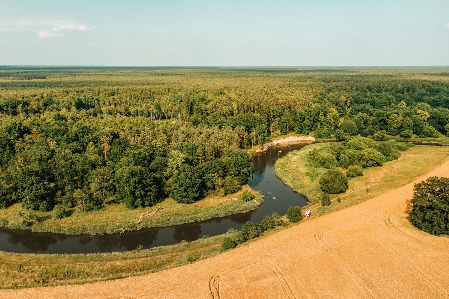 Sachsen: Otter und Oberlausitz Sachsen: Otter und Oberlausitz