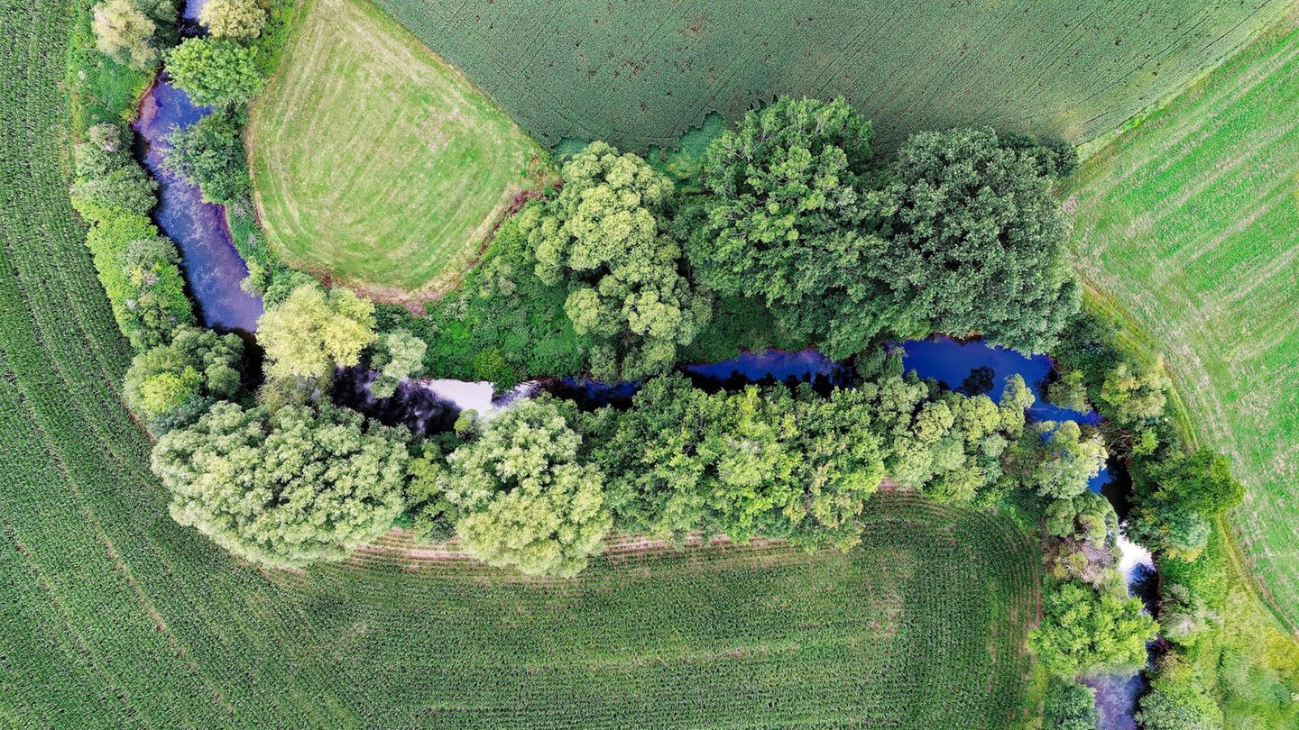 Gülle, Dünger, Pestizide: Bäche, die an landwirtschaftlich genutzte Flächen grenzen, weisen oft zu hohe Schadstoffbelastungen auf